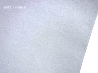 ���w��D�������@�R�[�g�E�H�D�ɂ��@�c����